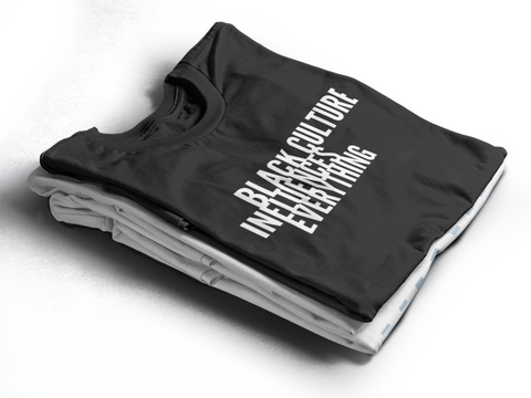 Black Culture Influences Everything T-Shirt - Social Theory Apparel